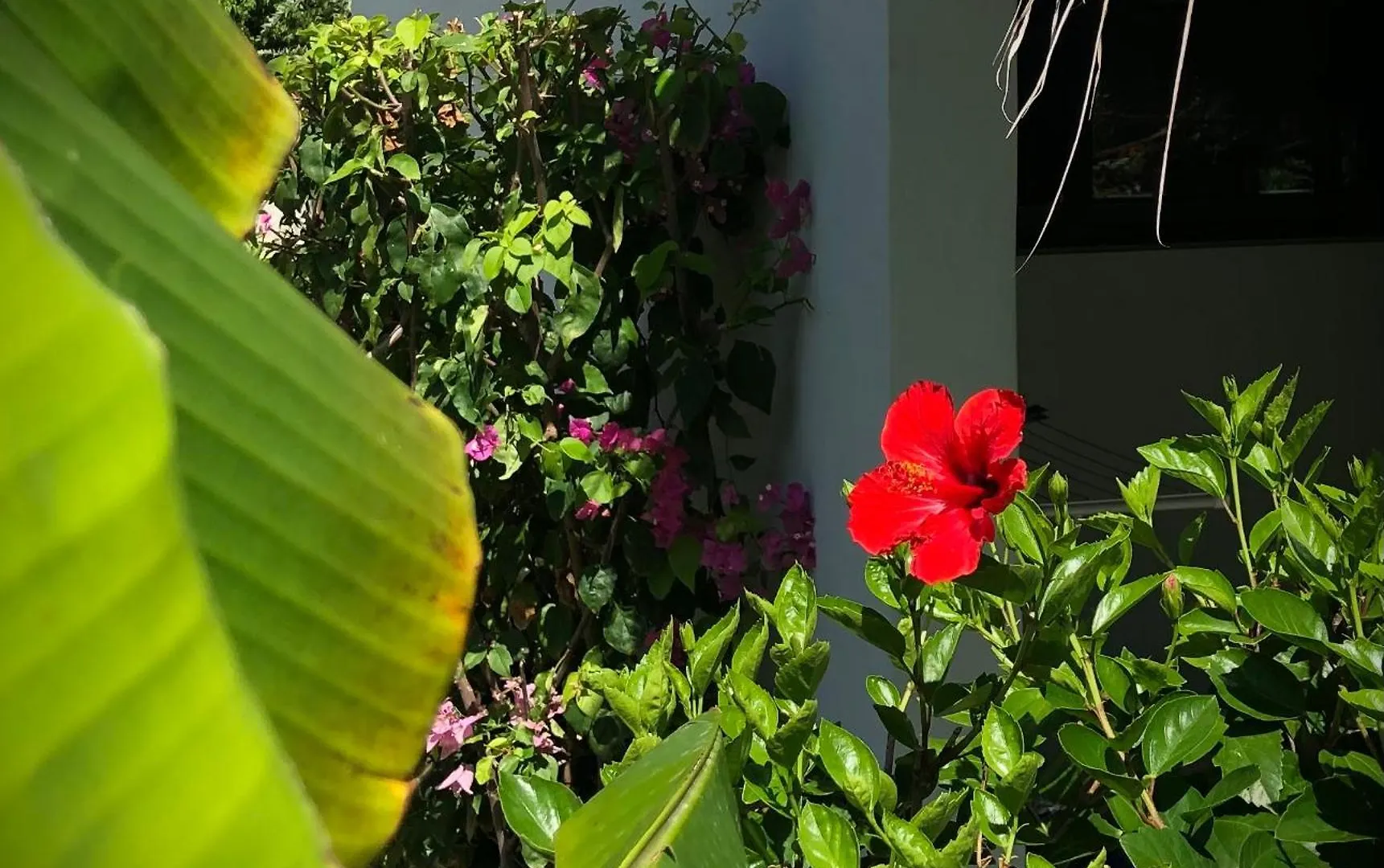 Apartamento Sfeervolle Studio In Encuentro Cabarete